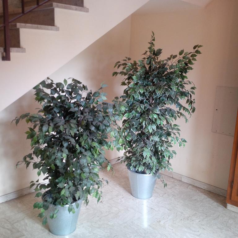 Casa Venturi Daire Scandicci Dış mekan fotoğraf